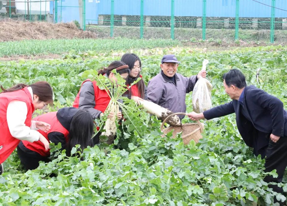 让员工吃上放心菜│“通鼎爱心菜篮子”工程启动